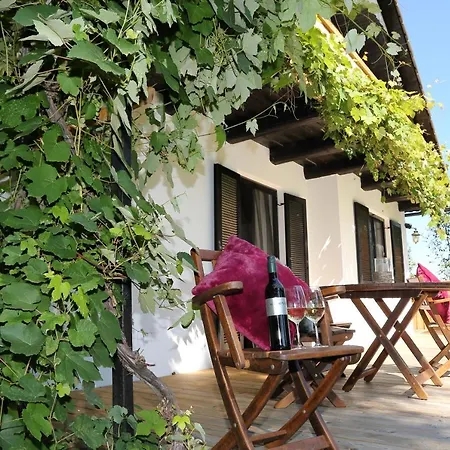 Apartment Ferienhaus Hadernigg