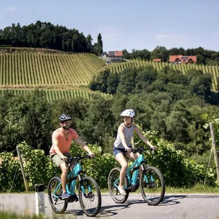 Ferienhaus Hadernigg Apartment *