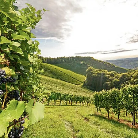 Apartment Ferienhaus Hadernigg Hadernigg