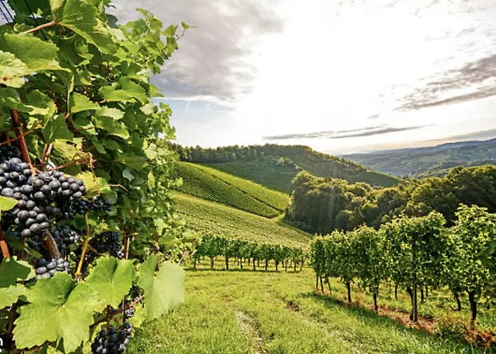 Apartment Ferienhaus Hadernigg Hadernigg